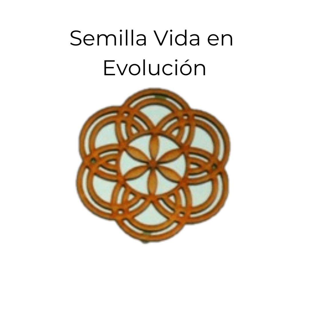 Portavasos de Geometría Sagrada en Madera - Vitalización de Bebidas - Imagen 6
