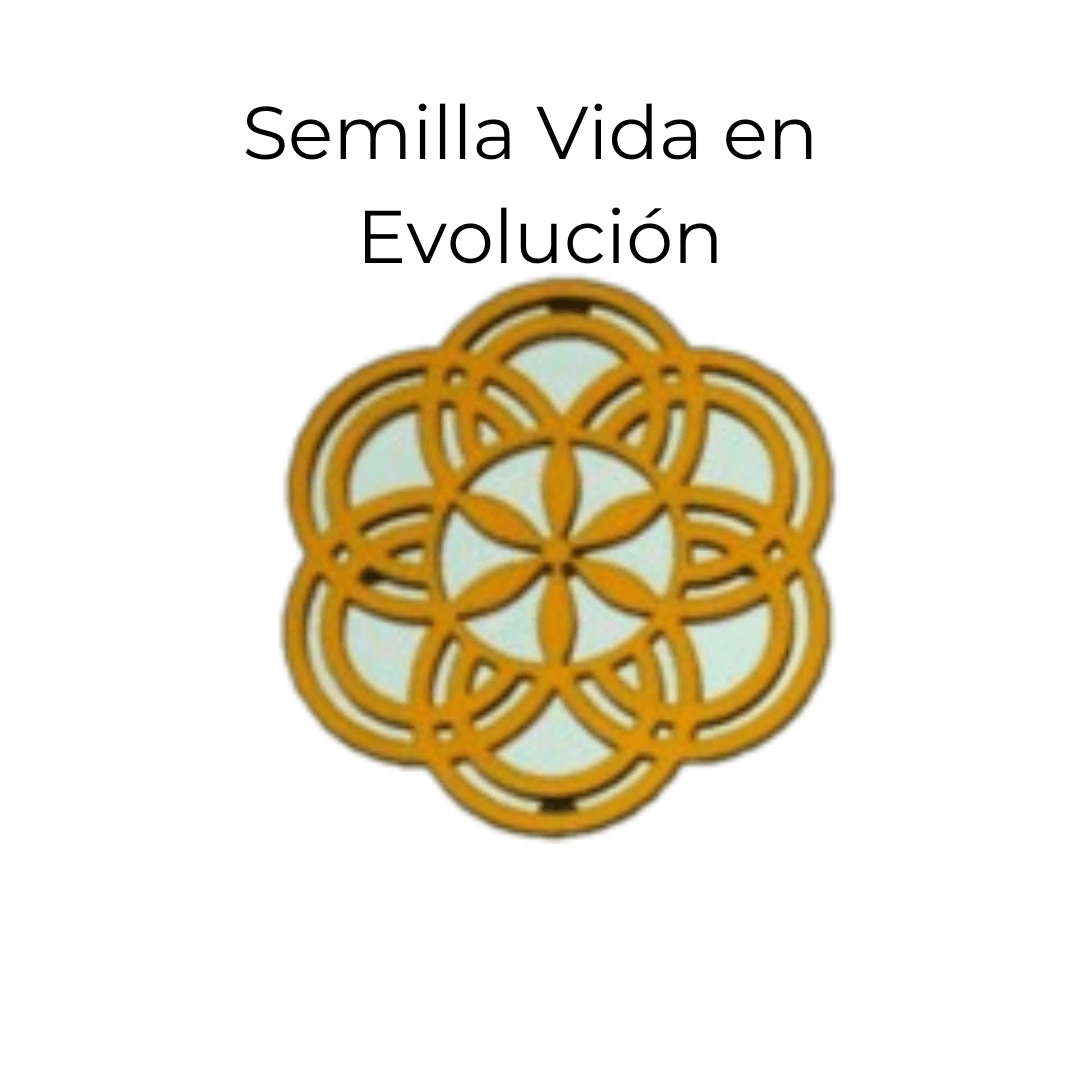 Portavasos de Geometría Sagrada en Madera - Vitalización de Bebidas - Imagen 8